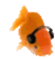 wqe goldfish