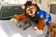 Kijani lion Fursuit 