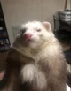 Macaroni