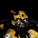 Bumblebee