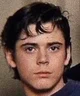 Ponyboy Curtis 