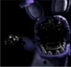 Withered Bonnie