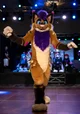 Strobes Fursuit 