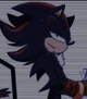 SHADOW - HEDGEHOG 
