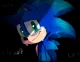Sonic -Cellmates-