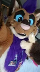 Strobes Fursuit 