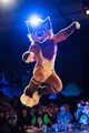 Strobes Fursuit 