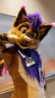 Strobes Fursuit 