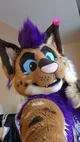 Strobes Fursuit 