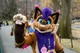 Strobes Fursuit 