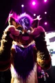 Strobes Fursuit 
