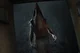Yandere Pyramid Head