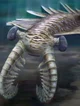 Anomalocaris