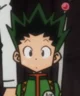 Gon