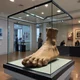 Giant foot