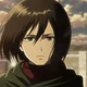 Mikasa Ackerman 