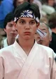 Daniel larusso 