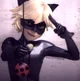 Chat Noir