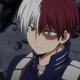 Shoto Todoroki