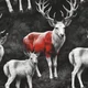 Fawn Alastor 