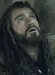 Thorin Oakenshield