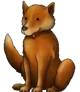 Dingo