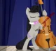 BOMB Octavia 
