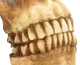 Teeth