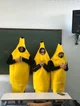 Banana cult