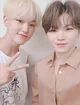 woozi and hoshi