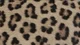 01 bot icons