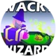 Wacky Wizards RPG