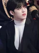 Seungcheol 