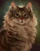 Warrior Cats Story