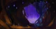Slugcat Colony