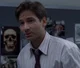 FOX MULDER