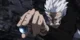 Silver Fang 