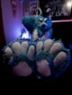 Starfly Wolf Fursuit
