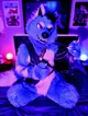 Starfly Wolf Fursuit