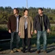 Team free will