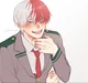 Todoroki 