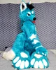 Starfly Wolf Fursuit