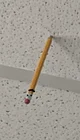 Pen In The Ceeling