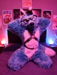 Starfly Wolf Fursuit