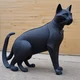 Cat Hexxus