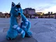Starfly Wolf Fursuit