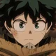 Izuku Midoriya 