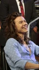 Harry Styles 