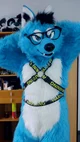 Starfly Wolf Fursuit