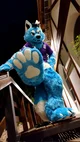 Starfly Wolf Fursuit
